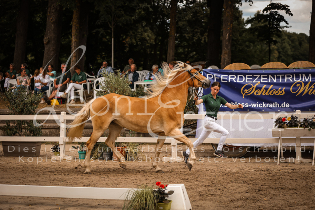 06.So00104 | Leoni Ertmer Photography - Realisiert mit Pictrs.com