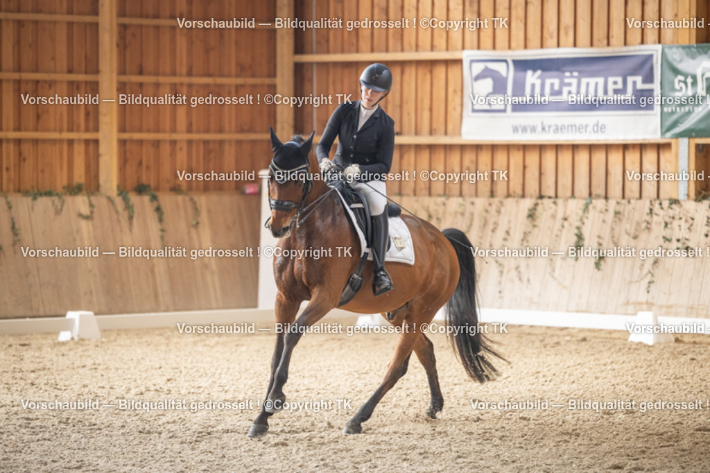 _D5A6005 | Emotionale Pferde- & People-Fotografie rund um Heidelberg, Leimen & Umgebung. Natürliche Fotos von Pferd, Mensch & Familie. Jetzt Termin sichern!