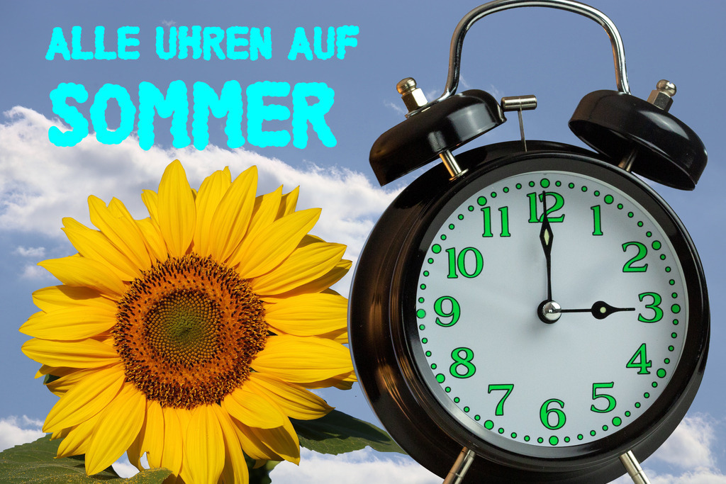 Zeitumstellung 2026 Sommerzeit: Wecke, Sonnenblume und Text ALLE UHREN AUF SOMMER | (Fotomontage) Zeitumstellung Sommerzeit Symbolbild: Wecker, Sonnenblume und Text ALLE UHREN AUF SOMMER - Realisiert mit Pictrs.com