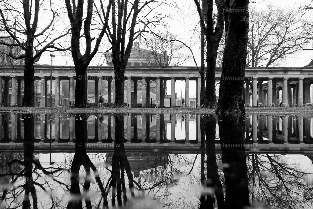 Trees_fine_Art_0042 | Photo Foto Kunst Art schwarzweiss Bilder Rheine Münster Berlin Blumen 