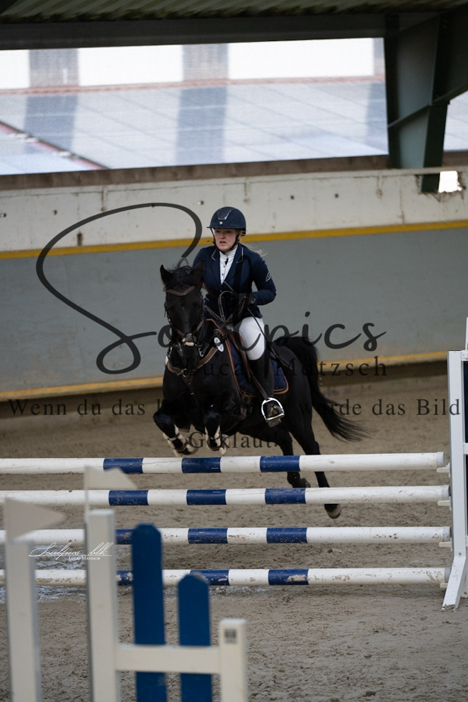 A7V01634 | Pferdefotograf