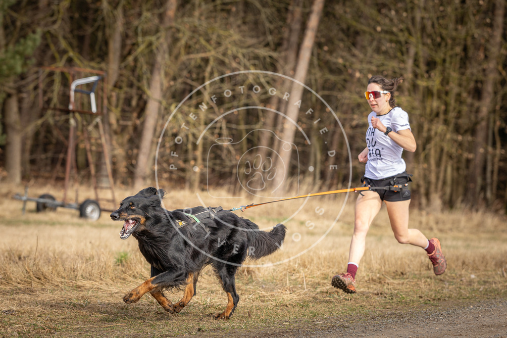 DV3A3637 | Hundefotografie, Tierfotograf, Pfotenfotografie, Fotoshooting Hund, Hunde Portrait, Hundesport, Hundeportraits, Heideshooting, Hunde, Sportfotograf, Hundefotograf, Turnierhundsport, THS,  - Realisiert mit Pictrs.com