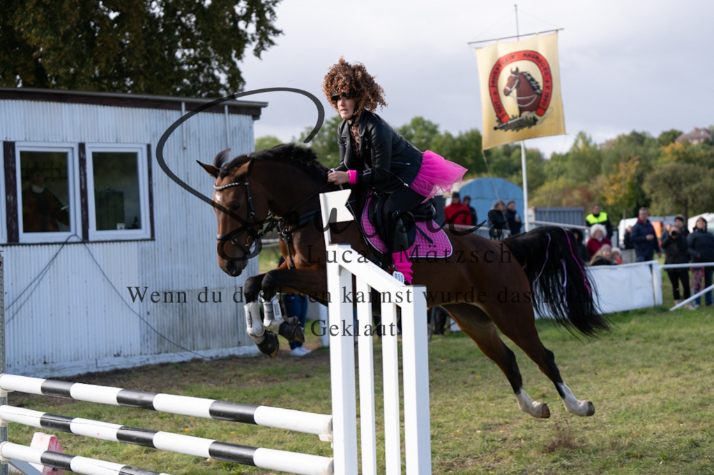 A7V06531 | Pferdefotograf