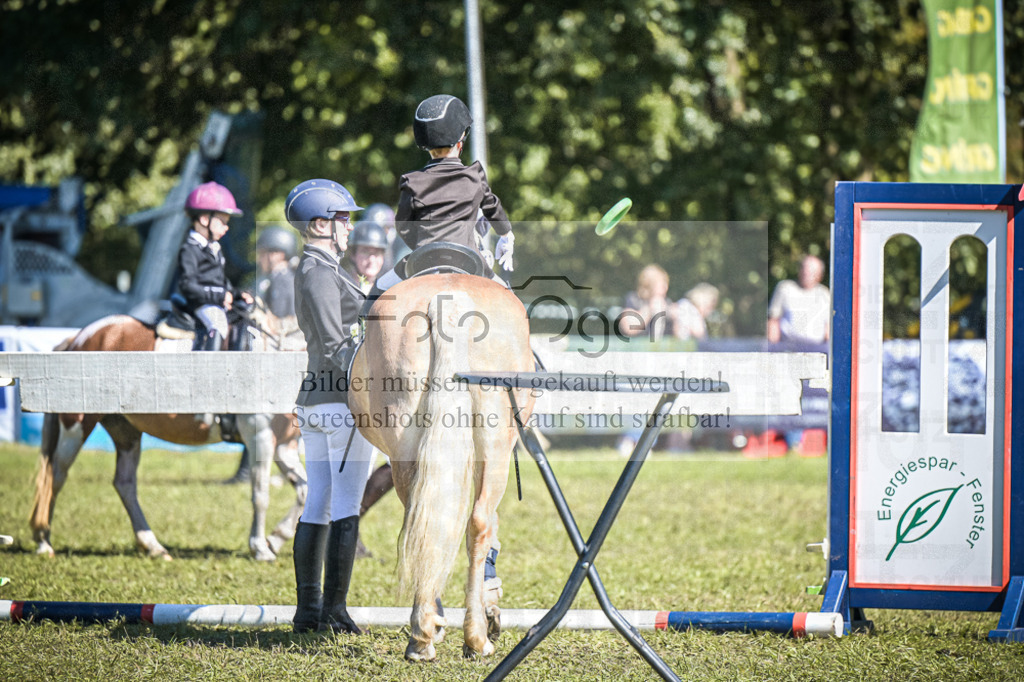 DOS_0260 | Entdecke hochwertige Reitturnierfotos von Foto Oger. Professionell, emotional und authentisch – jetzt Lieblingsmomente im Shop bestellen.Deutschlandweite Turnierfotografie. - Realisiert mit Pictrs.com
