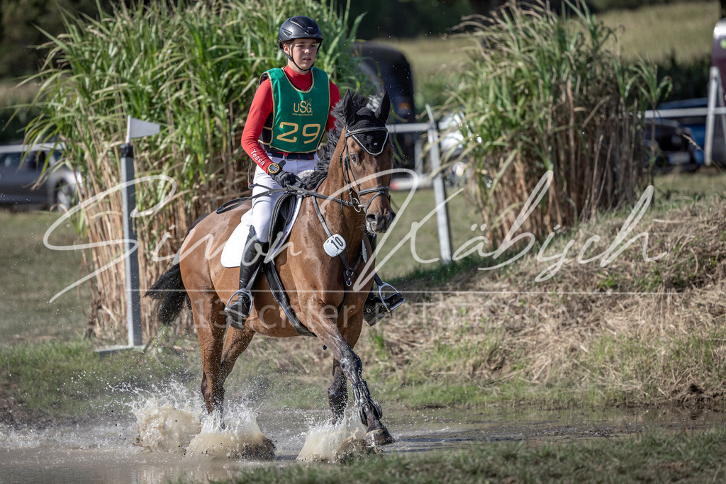 20250907-_3LI3024 | Tierfotografie Pferde, Hunde, Katzen, Haustiere.
Turnierfotografie Reitturniere, Reiten, Springreiten, Dressur in Hanau, dem Main-Kinzig-Kreis und dem Rhein-Main- Gebiet um Frankfurt