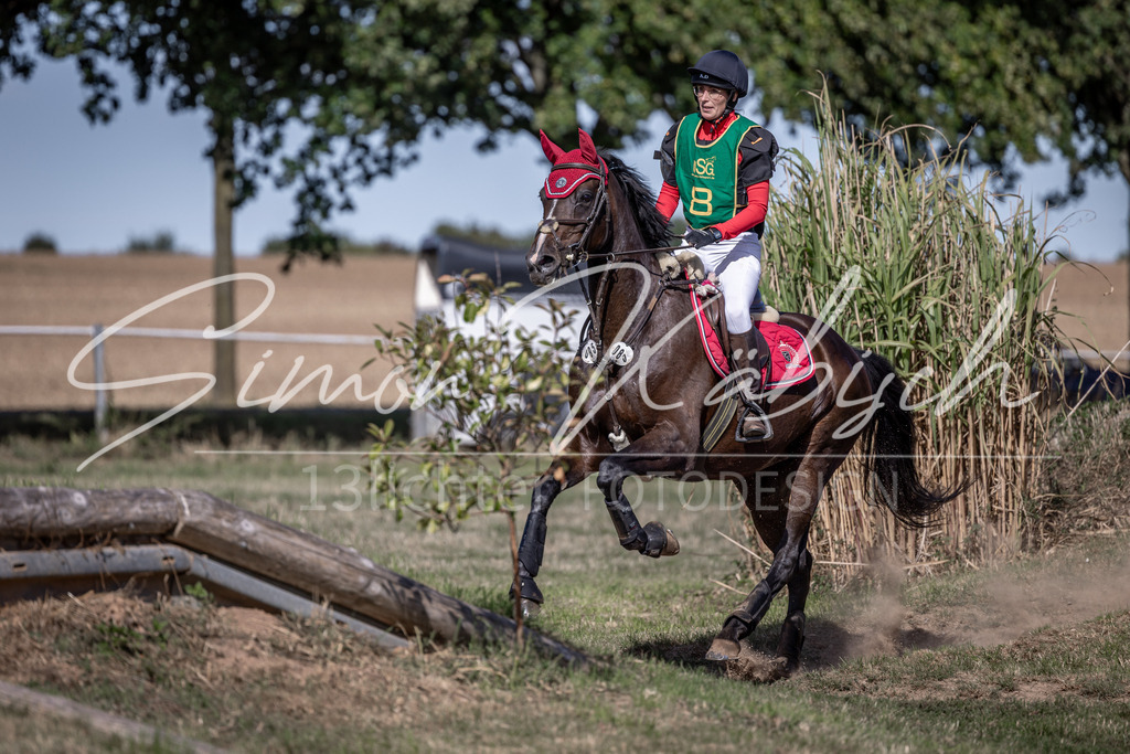 20260906-_3LI6019 | Tierfotografie Pferde, Hunde, Katzen, Haustiere.
Turnierfotografie Reitturniere, Reiten, Springreiten, Dressur in Hanau, dem Main-Kinzig-Kreis und dem Rhein-Main- Gebiet um Frankfurt