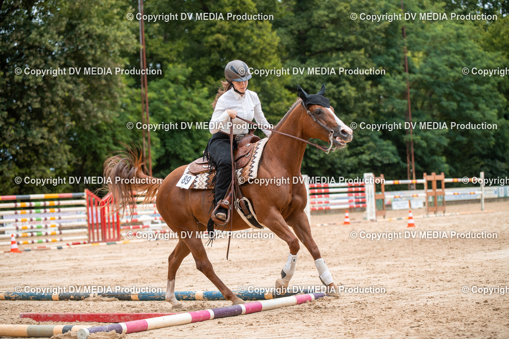 ZS2_8617 | dv-media-shop - Realisiert mit Pictrs.com