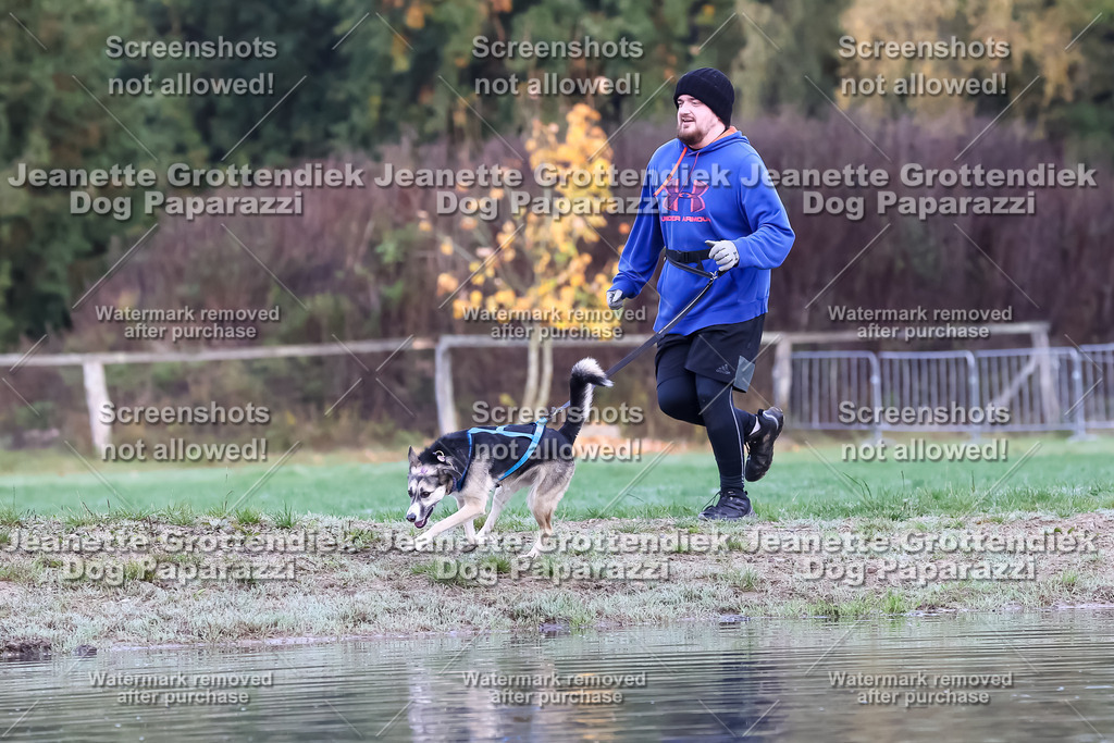 Dog Paparazzi - Strongdog 10-25-6647 | Dog Paparazzi Jeanette Grottendiek Fotografie & Videografie