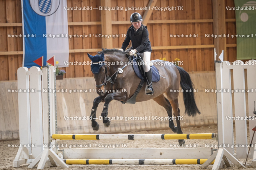 _D5A0083 | Emotionale Pferde- & People-Fotografie rund um Heidelberg, Leimen & Umgebung. Natürliche Fotos von Pferd, Mensch & Familie. Jetzt Termin sichern!