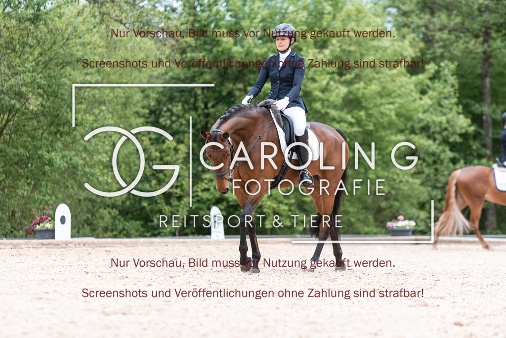 DSC_6972 | Turnierfotografin Carolin Gieschke,Reitsport Turnierfotografie Carolin G Fotografie | Turnierfotos aus Kirchheim/Teck, Esslingen, Stuttgart und dem Bodenseekreis