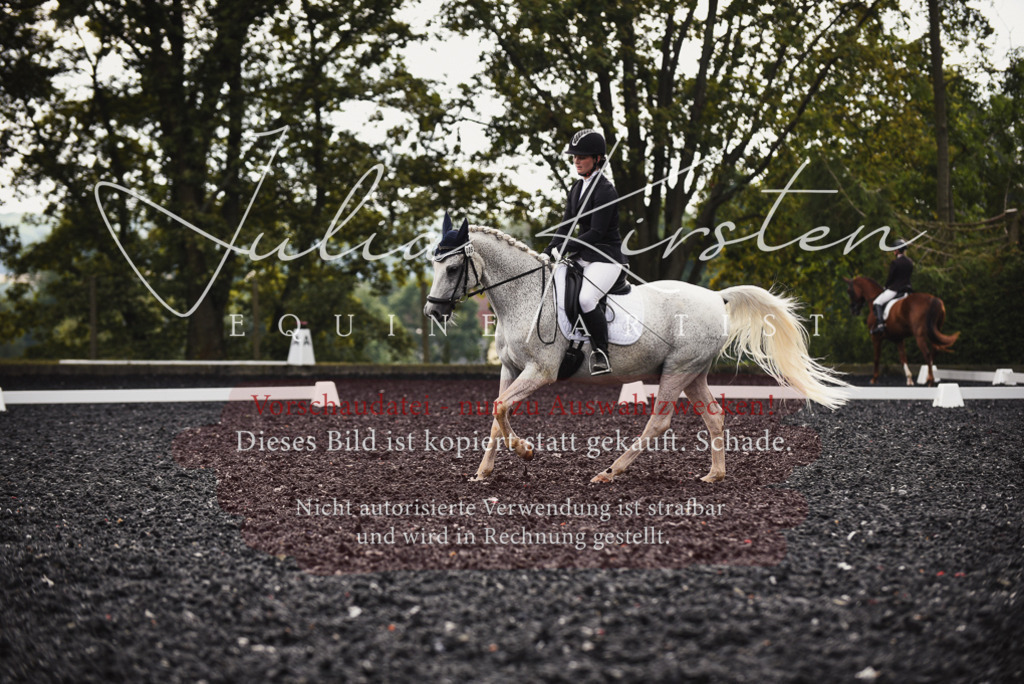 DSC_3971 | Pferde- und Turnierfotografie in Westsachsen. Pferdeportraits, Auftragszeichnungen und intuitive Kunst.