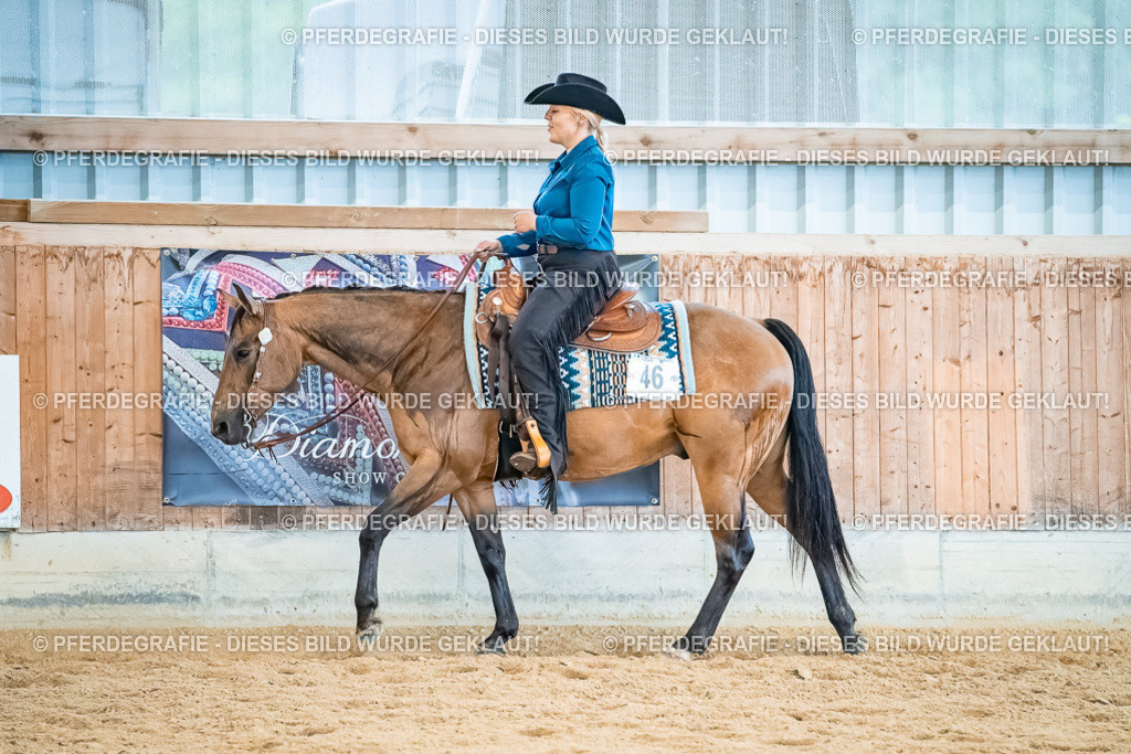 DSC00417 | Pferdegrafie