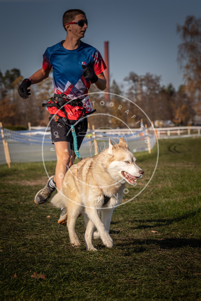 CaniXpix_0L8A8239 | Hundefotografie, Tierfotograf, Pfotenfotografie, Fotoshooting Hund, Hunde Portrait, Hundesport, Hundeportraits, Heideshooting, Hunde, Sportfotograf, Hundefotograf, Turnierhundsport, THS,  - Realisiert mit Pictrs.com