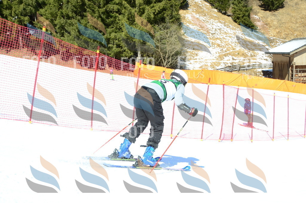 C6791 | holidayphoto