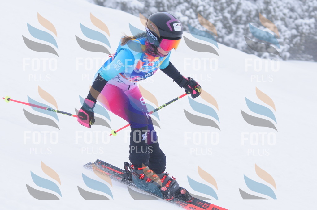 C2797 | holidayphoto