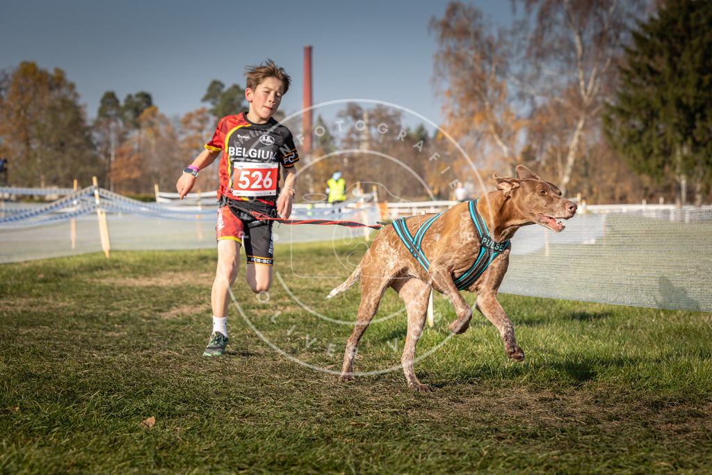 CaniXpix_0L8A8852 | Hundefotografie, Tierfotograf, Pfotenfotografie, Fotoshooting Hund, Hunde Portrait, Hundesport, Hundeportraits, Heideshooting, Hunde, Sportfotograf, Hundefotograf, Turnierhundsport, THS,  - Realisiert mit Pictrs.com