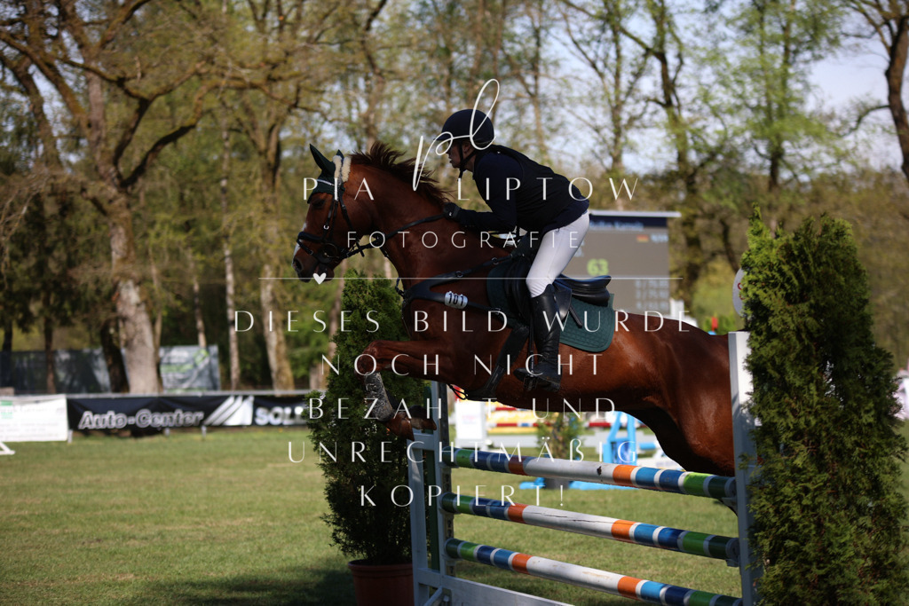 IMGT0330 | pl-fotografie