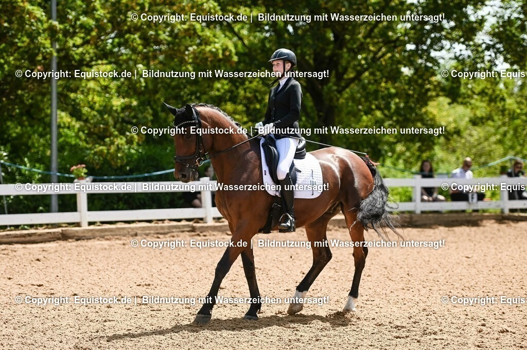 20230716_03_Dressurprfg. Kl.L - Tr._0058 | equistock