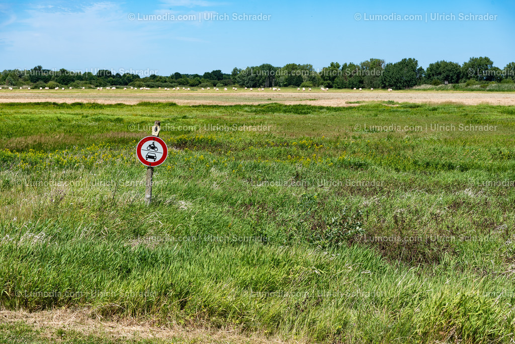 10049-13897 - Wiese an der Oder | Stockfoto und Bilderpool mit Bildmaterial aus Deutschland, dem Harz, Halberstadt, Quedlinburg, Wernigerode und weltweit. Qualitativ hochwertige und professionelle Fotos anschauen und kaufen. - Realisiert mit Pictrs.com