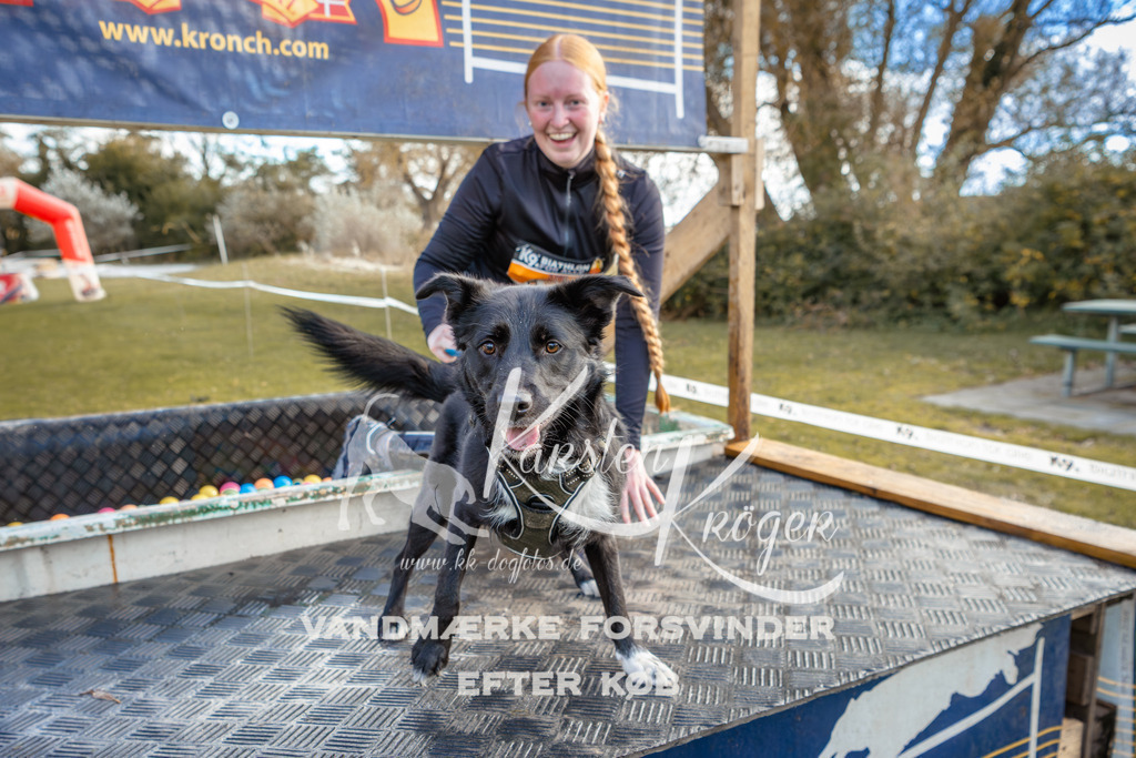 1506_ZZ95878 | kk-dogfotos