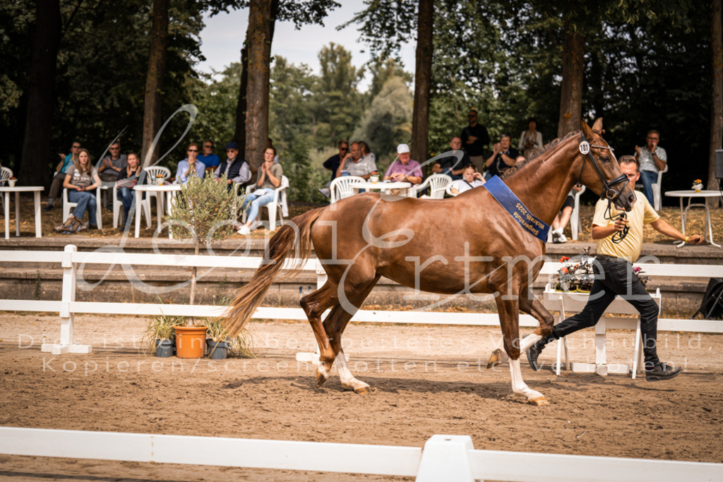 3.Fr00264 | Leoni Ertmer Photography - Realisiert mit Pictrs.com