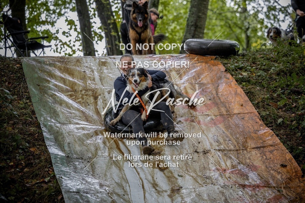nelerasche_Hunsrück_Sa1430-1500_347-final | nelerasche