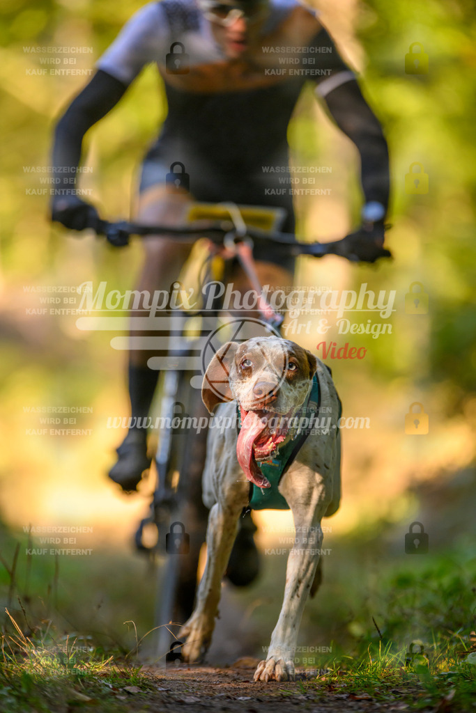 MompixPhotography_Yens2025_B3-125 | PayLife