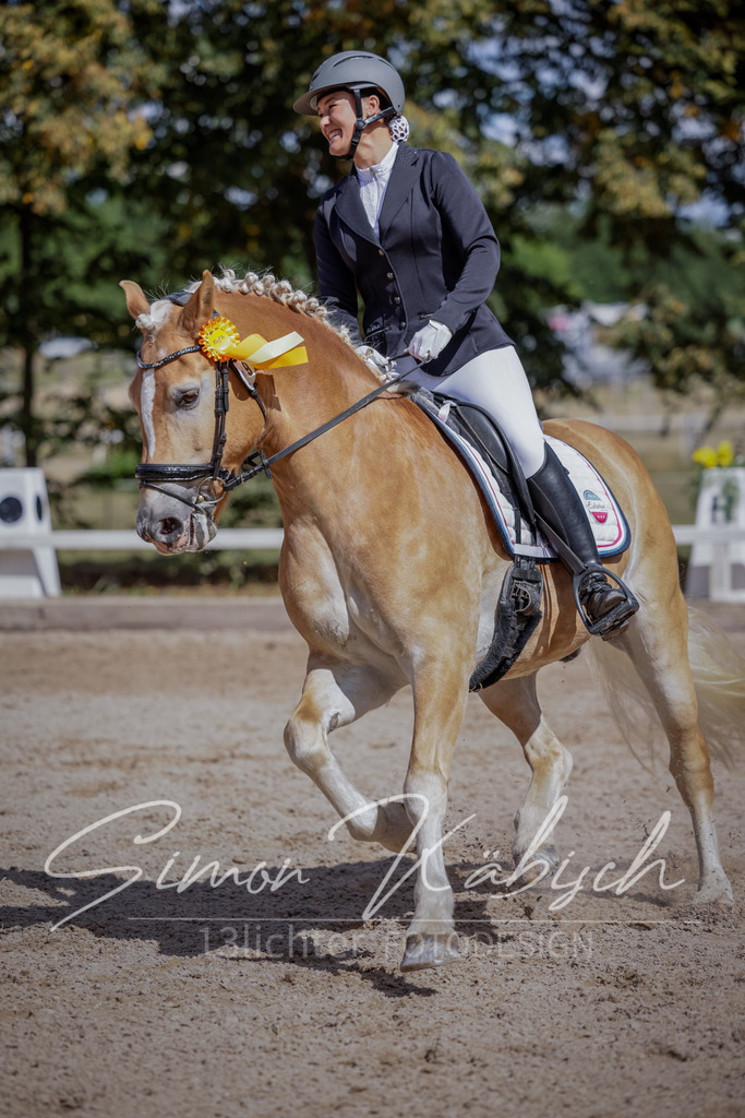 20250906-_3LI5855 | Tierfotografie Pferde, Hunde, Katzen, Haustiere.
Turnierfotografie Reitturniere, Reiten, Springreiten, Dressur in Hanau, dem Main-Kinzig-Kreis und dem Rhein-Main- Gebiet um Frankfurt
