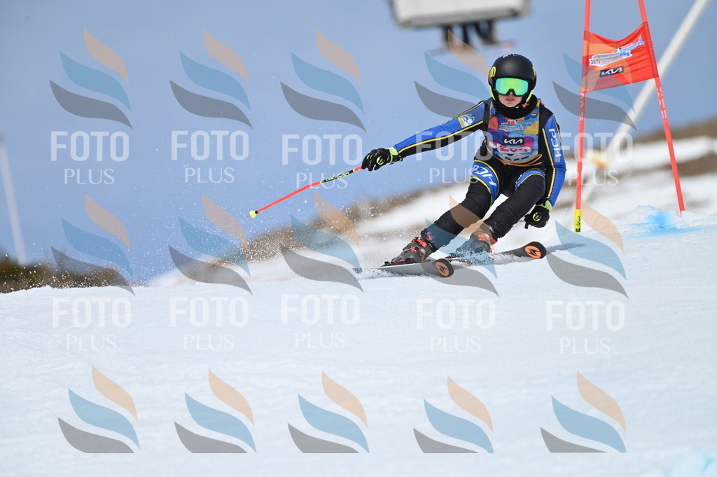 BGV_1872 | holidayphoto