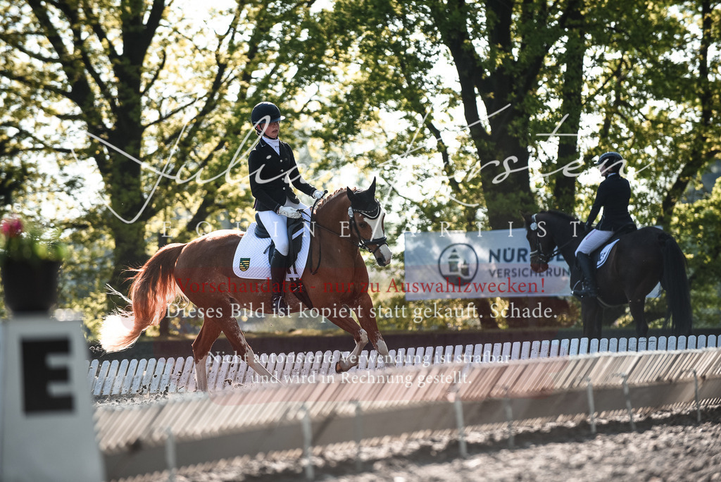 DSC_8258 | Pferde- und Turnierfotografie in Westsachsen. Pferdeportraits, Auftragszeichnungen und intuitive Kunst.