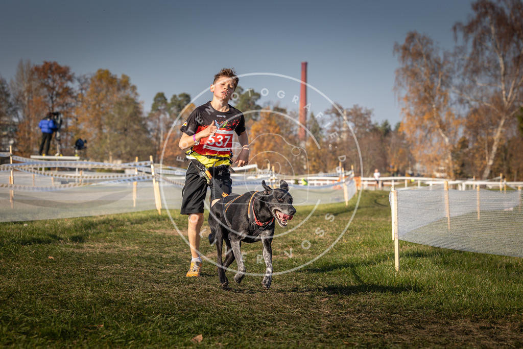 CaniXpix_0L8A8943 | Hundefotografie, Tierfotograf, Pfotenfotografie, Fotoshooting Hund, Hunde Portrait, Hundesport, Hundeportraits, Heideshooting, Hunde, Sportfotograf, Hundefotograf, Turnierhundsport, THS,  - Realisiert mit Pictrs.com