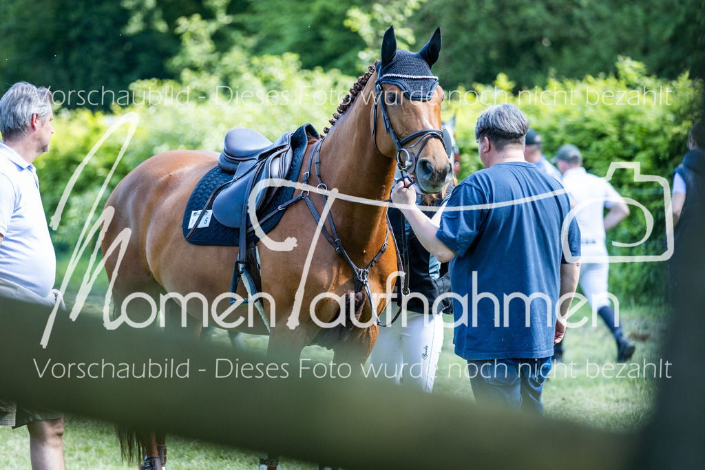 HH-Randmomente-003-4 | MomenTaufnahmen Pferdesportfotos