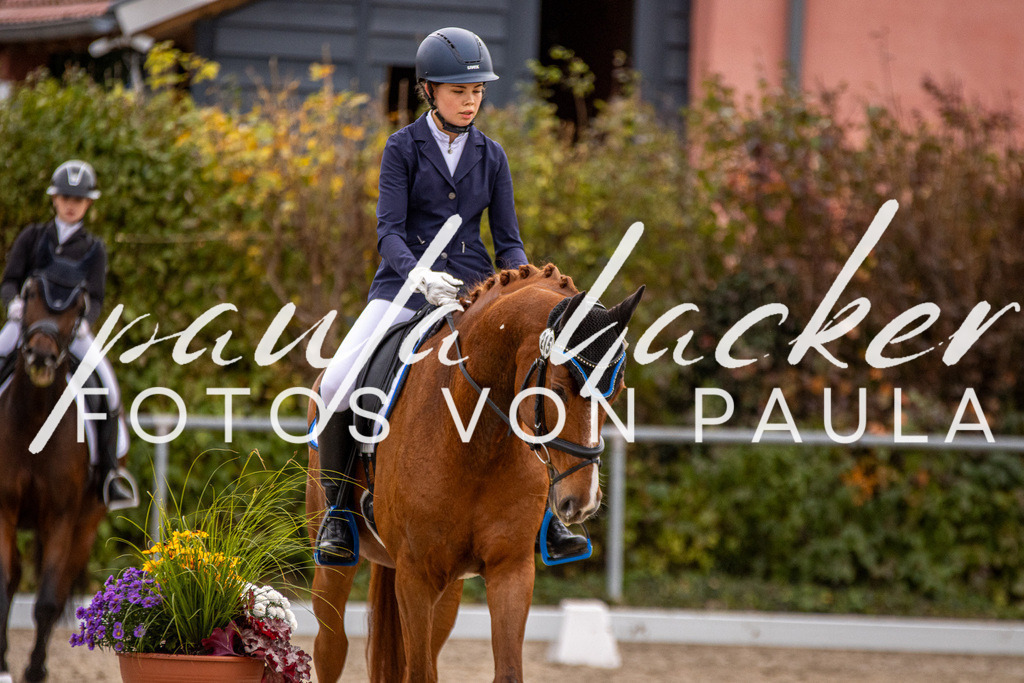 IMG_2965 | Erleben Sie dynamische Sport- und emotionale Tierfotografie in Süddeutschland mit Fotos von Paula. Spezialisiert auf Pferde- und Hundefotografie sowie Sportevents. Kontaktieren Sie mich für einzigartige und ausdrucksstarke Bilder Ihrer besonderen Momente. - Realisiert mit Pictrs.com