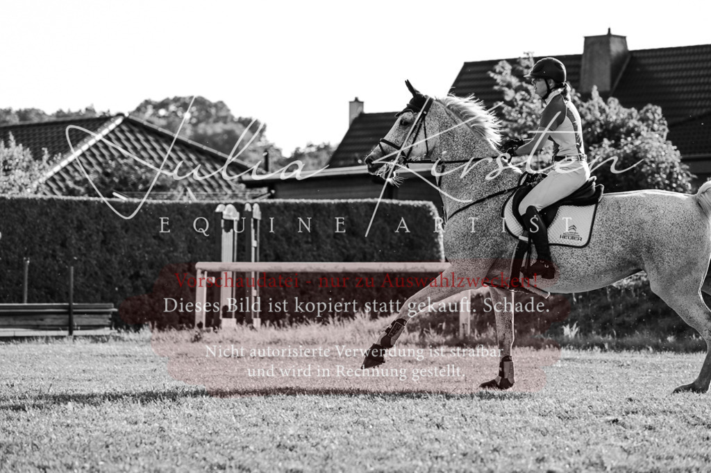DSC_3137 | Pferde- und Turnierfotografie in Westsachsen. Pferdeportraits, Auftragszeichnungen und intuitive Kunst.