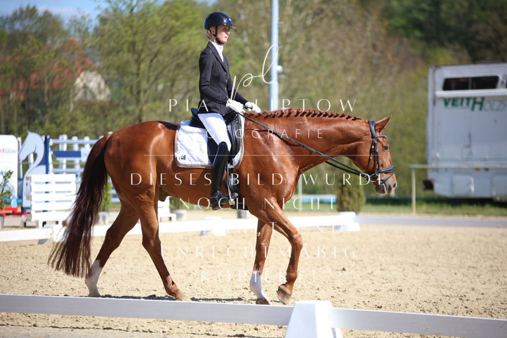 IMGT8400 | pl-fotografie