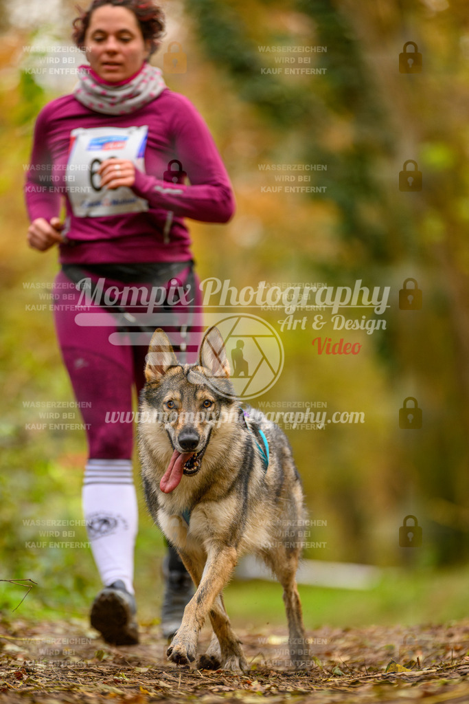 MompixPhotography_Bischwiller24_SA_Canicross-191 | PayLife