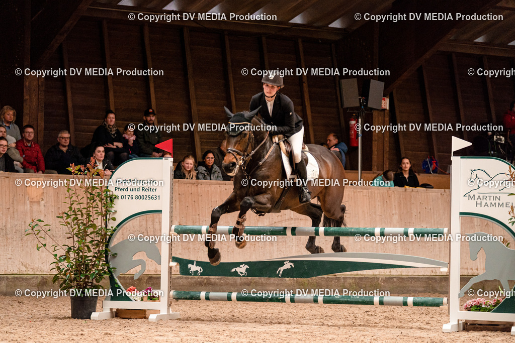 Springen Tag 2-338 | dv-media-shop - Realisiert mit Pictrs.com