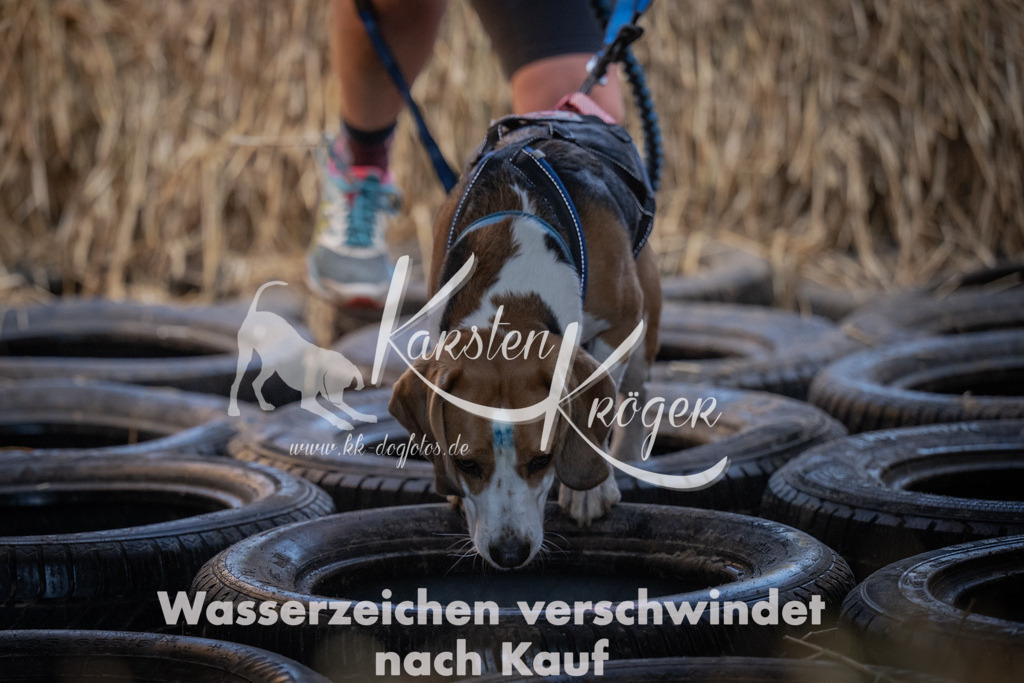 0944_ZZ94243 | kk-dogfotos