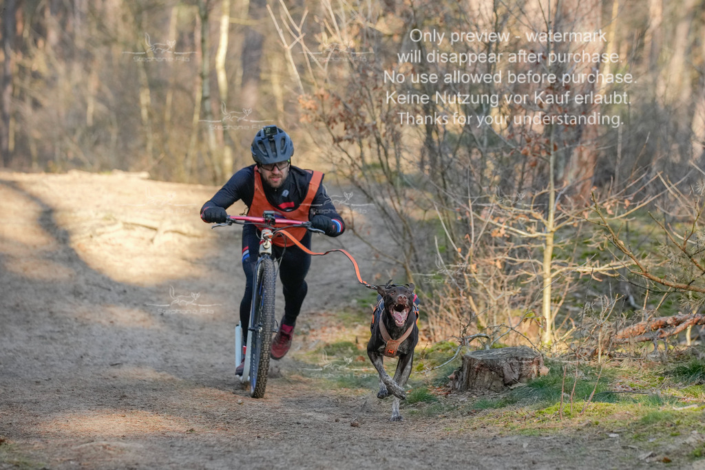 Sa_Scooter-29 | stephaniefillaphotographie - Realisiert mit Pictrs.com