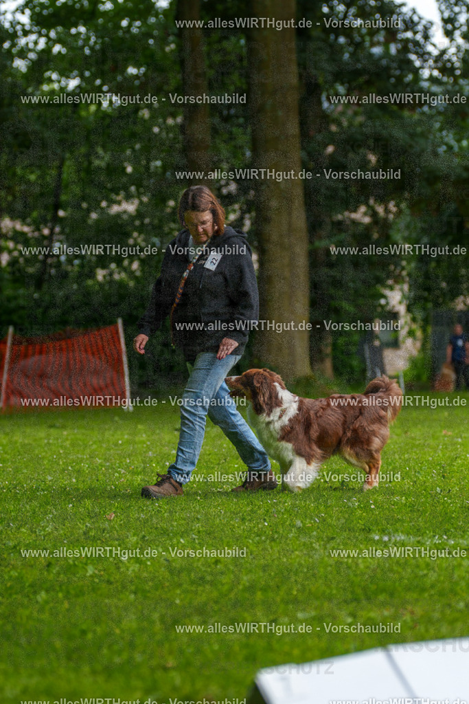 @allesWIRTHgut_Tierfotografie - www.allesWIRTHgut.de - 094442-7R507535 | Professionelle Tierfotografie in Mönchengladbach von Daniel Wirth (allesWIRTHgut). Liebevolle & natürliche Bilder von Hunden & Katzen für unvergessliche Erinnerungen.