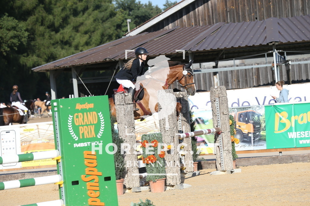 DL2Q1806 | Willkommen bei Brunnmayr - Design & Fotografie – Ihrem Spezialisten für Reitturniere und Pferdeveranstaltungen in Oberösterreich, Salzburg und Bayern! Seit über 17 Jahren sind wir leidenschaftlich dabei.