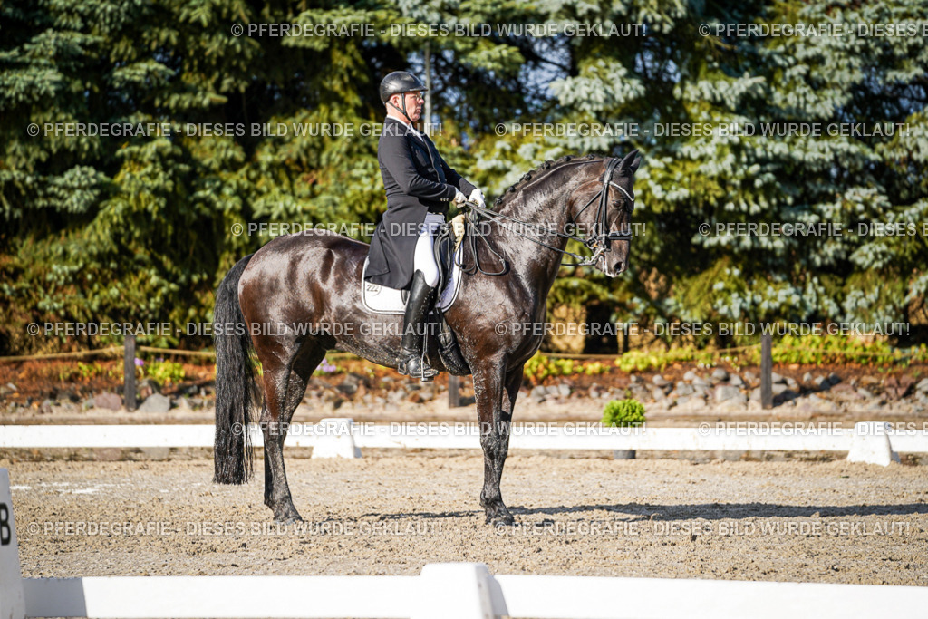 DSC00665 | Pferdegrafie