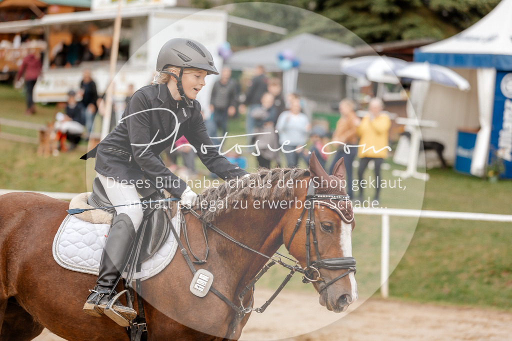 3I6A6613 | Stimmungsvolle Portraits und Reitsportfotografie im Ruhrgebiet und im Münsterland.

Pferdefotografie, Hundefotografie, Tierfotografie, Reportagen, Portraits von Tier und Mensch, Turnierfotografie in Bochum, Recklinghausen, Marl, Haltern am See, Dülmen.. - Realisiert mit Pictrs.com