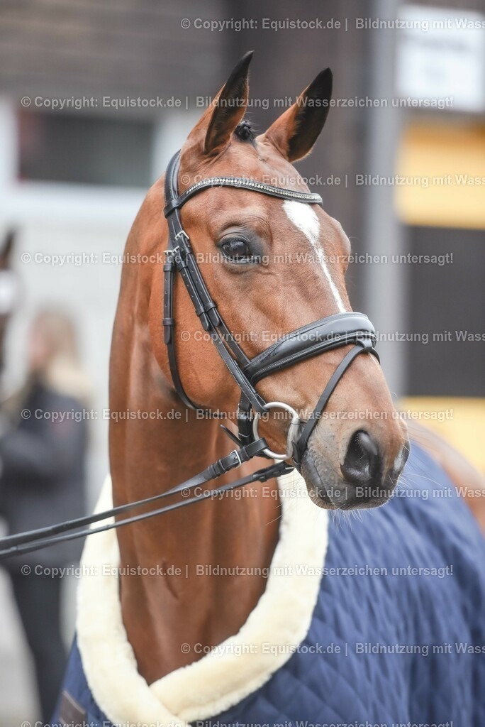 20230514_Impressionen_0086 | equistock
