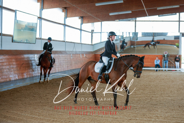 _62_7461 | Turniersportfotografie; Pferdefotografie; Dressurfotografie