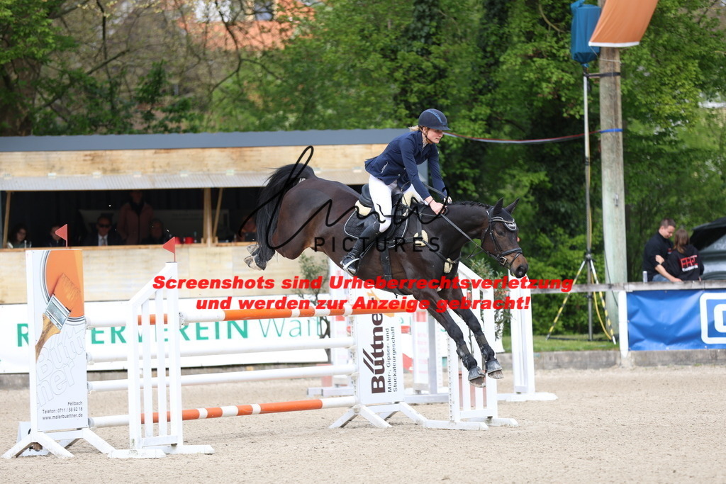 A40A3049 | lmwpictures - Realisiert mit Pictrs.com