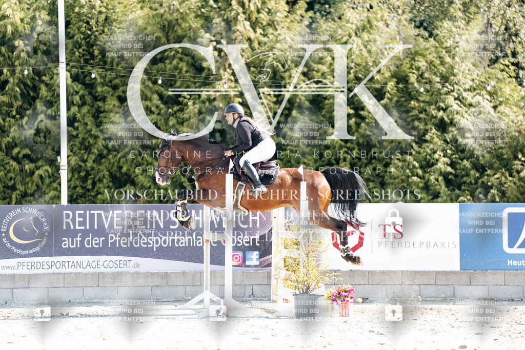 CK902515 | Turnierfotografie Pferdefotografie Trier Rheinland-Pfalz Pferdesport Reitsport Tierfotografie Sportfotografie Pferdevideo Pferdevideografie Equestrianvideography equestrianphotography  - Realisiert mit Pictrs.com