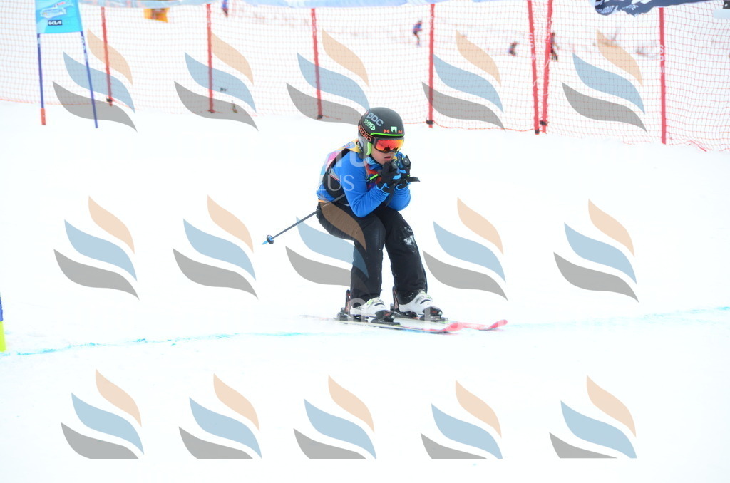 DSC_1859 | holidayphoto