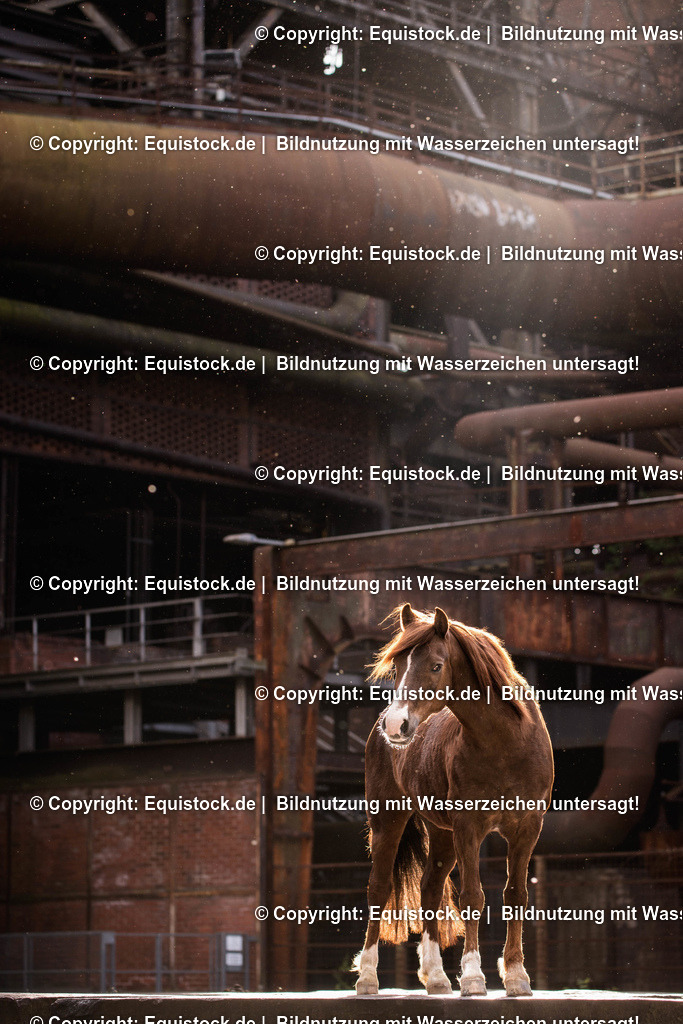 TS_20170425_Solido_Landschaftspark_0001 | Foto: Thomas Hartig