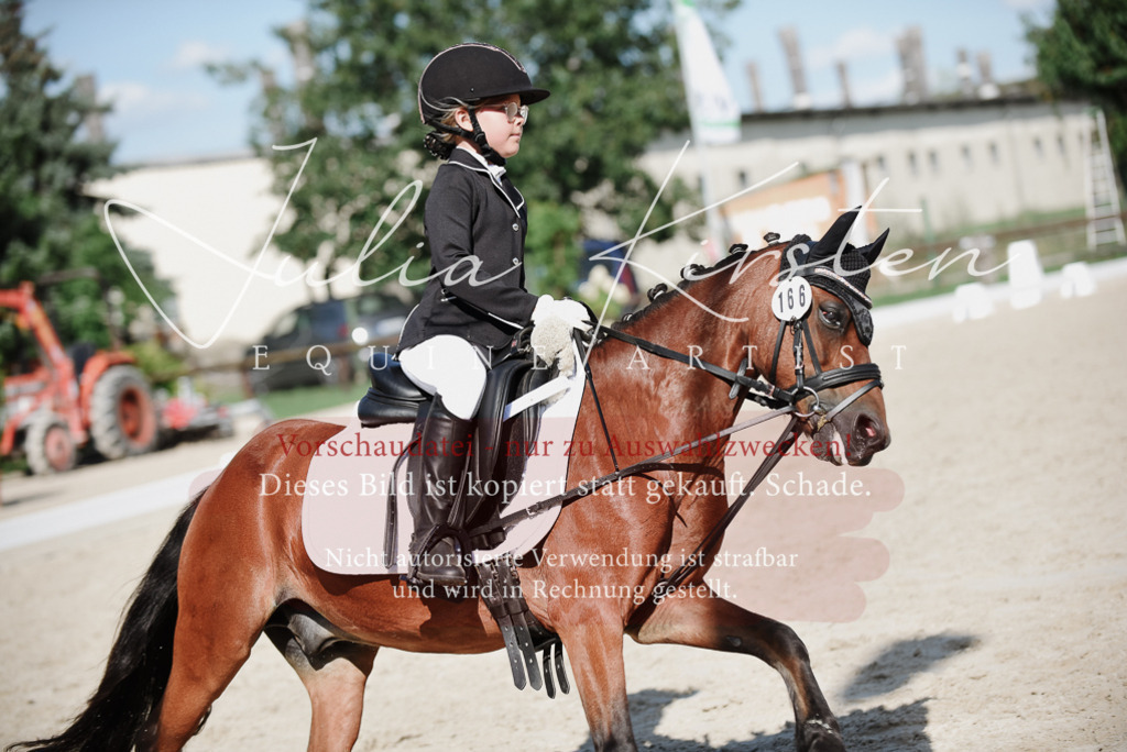 DSC_0119 | Pferde- und Turnierfotografie in Westsachsen. Pferdeportraits, Auftragszeichnungen und intuitive Kunst.